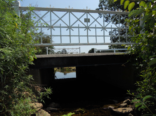 pleasant Hill Rd Bridge 