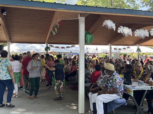 Big Crowd of Seniors at 2024 Dover Senior Picnic
