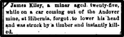 James Kiley, a miner aged 25, while on a car coming out fo the Andover mine, at Hibernia, forgot to lower his head and was struck by a timber and instantly killed.