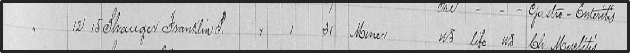 Shauger's name in a census log