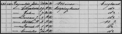 Reynolds' name in a census log