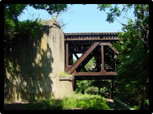 Boonton train trestle, surrounded by trees