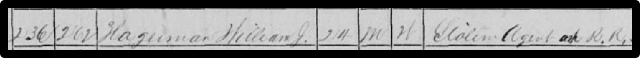 Hagerman's census entry