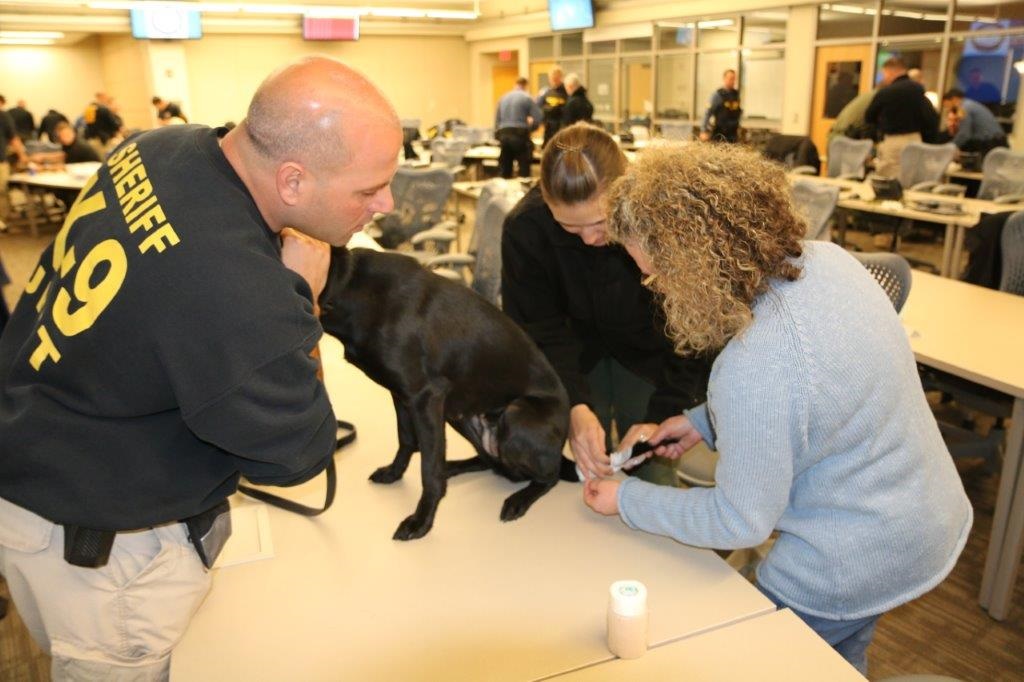 Morris County Hosts Training on K9 Lifesaving Techniques Morris