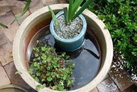 Mosquitoes breed in standing water. Dump it out!