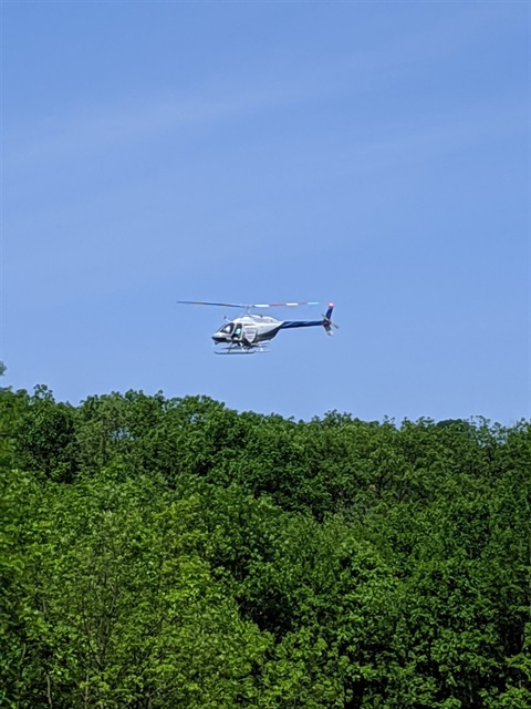 IMG_20190522_103643.jpg