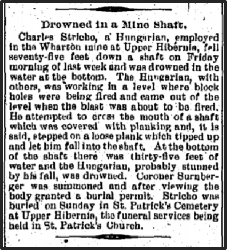 Newspaper: Drowned in a mine shaft.