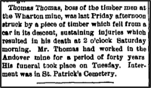 Thomas Thomas, boss of the imber men at the Wharton mine, was last Friday afternoon struck by a piece of timber which fell from a car in its descent, sustaining injuries which resulted in his health at 2:00 Saturday morning.