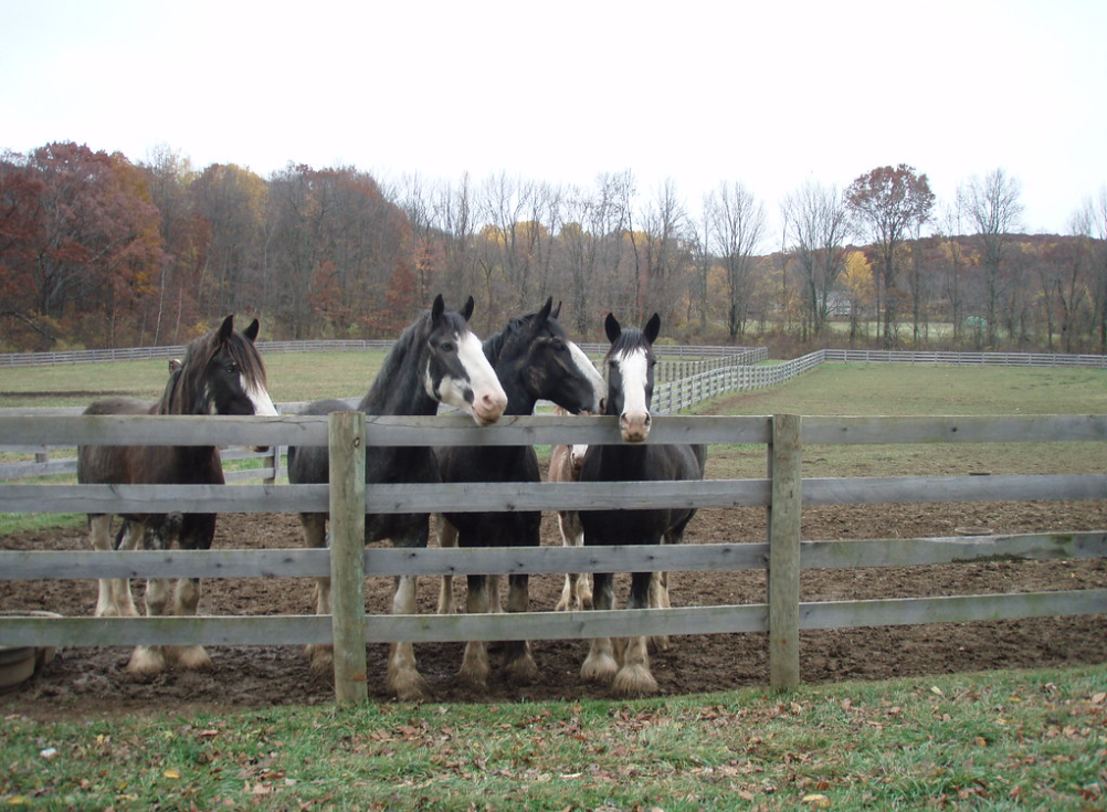 Wachtell Farm in Washington Township, where 114 acres have been preserved..png