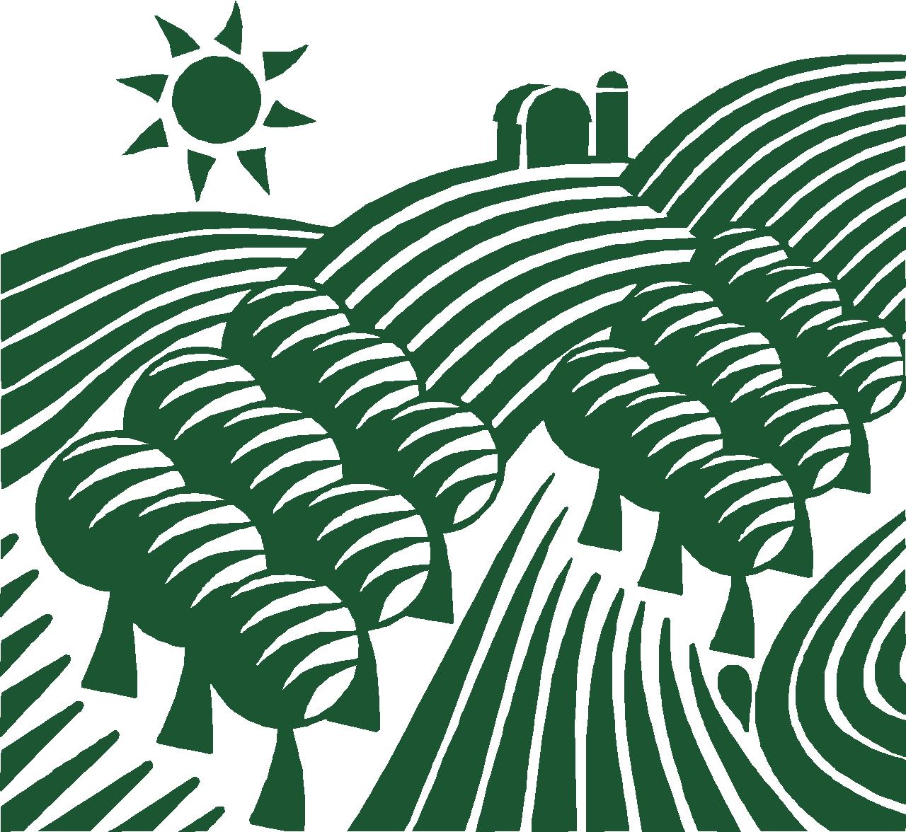 Open Space logo