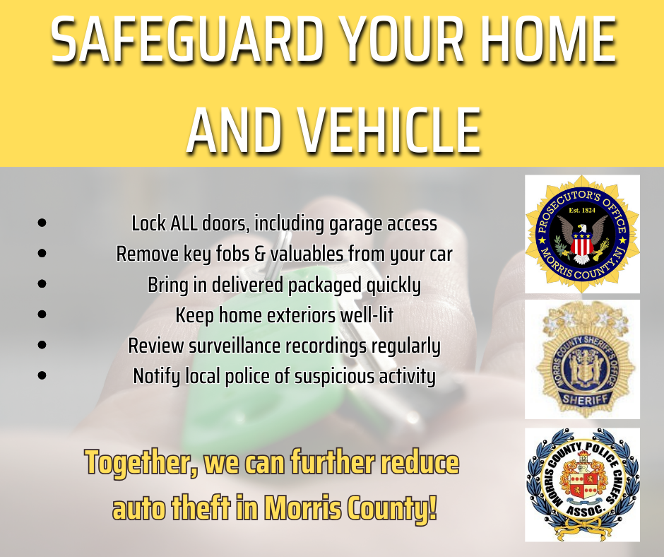 Safeguard Your Home and Vehicle.png