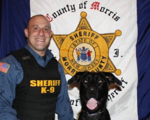 K-9 Boomer with his tongue out, standing next to Officer Carbone