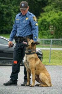 Uniformed Sheriff's officer with a K-9 dog