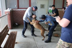 K-9 dog in drug-sniffing training