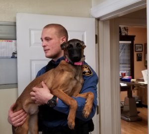 Morris County Sheriff's Office K9 Section Detective Marc Adamsky with a donated Belgian Malinois.