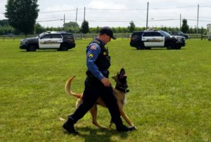Morris County Sheriff's Office Detective Corporal Michael McMahon and K-9 Kai at a demonstration in 2019.