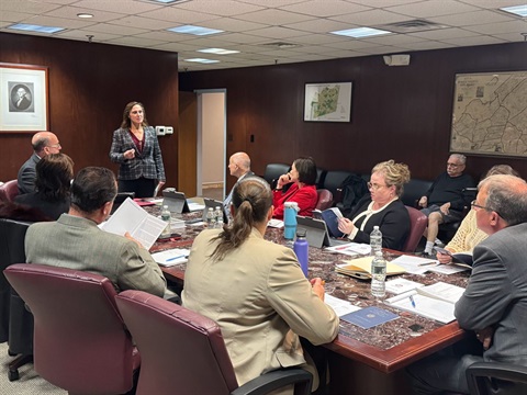 Surrogate Darling Speaking With Randolph Council