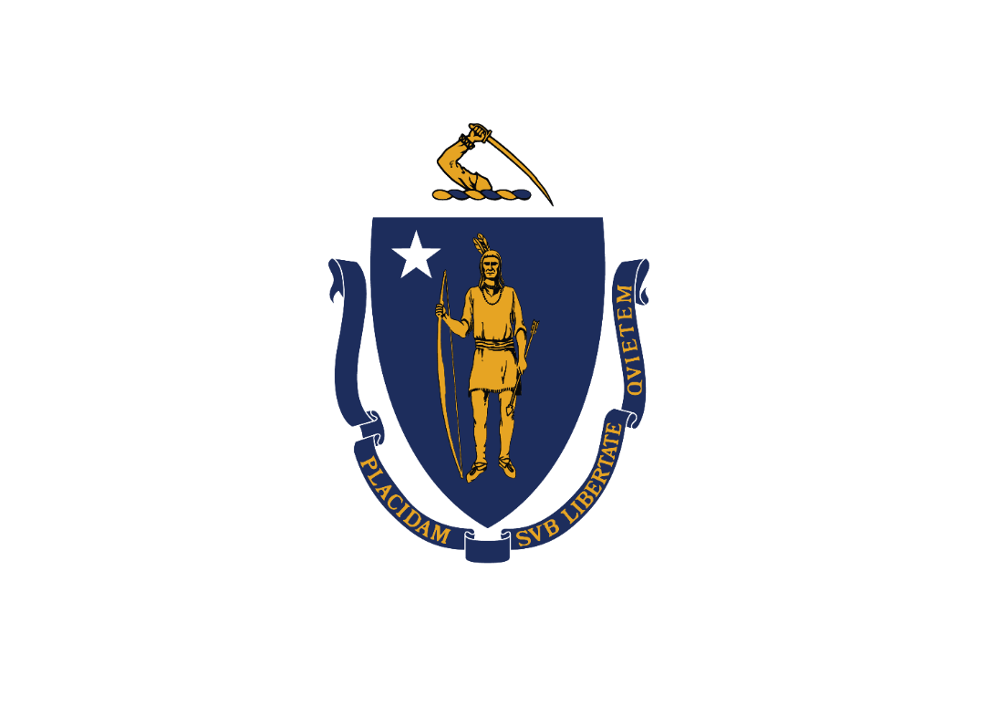Mass flag