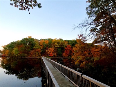 A photo of a wooden bridge crossing a lake going to an island with trees turning colors from fall.