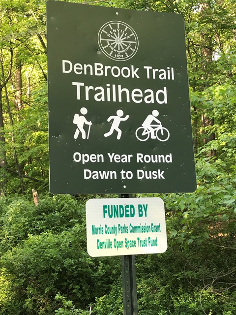 Den Brook 4.jpg