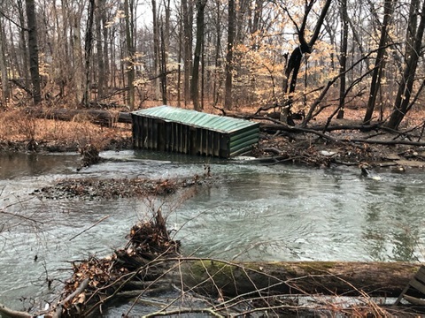 Dumpster Whippany River.jpg