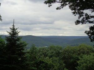 photo of Jonathans Wood natural area