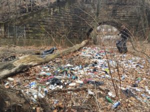 A before and after look at a previous cleanup day