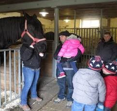 Children approach a stabled black horse