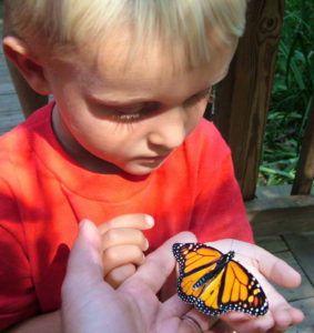 boy with butterfly