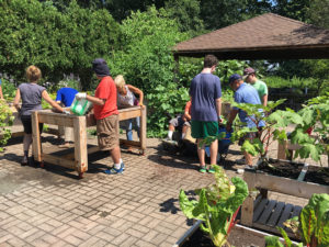 People working at raised garden beds