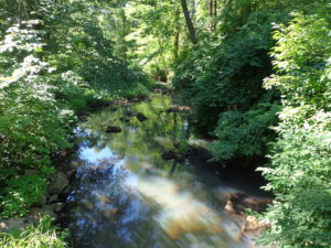 Leddell Preserve