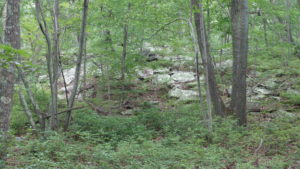 Treadwell property in Jefferson