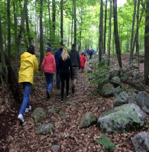 hikers walking in woods