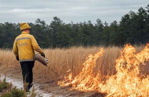  NJ Forest Service personnel perform a controlled burn