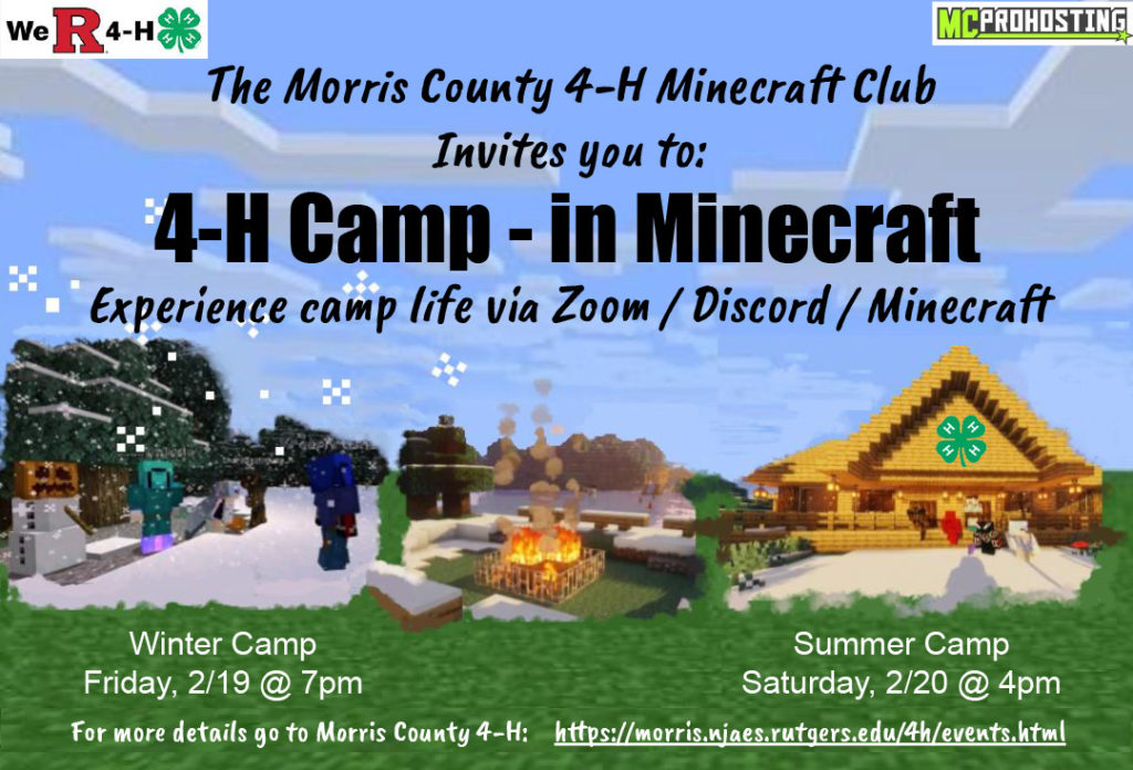 4-H minecraft camp flyer