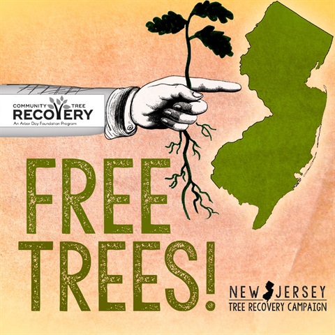 Free Trees logo
