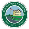 Mount Olive Township Logo